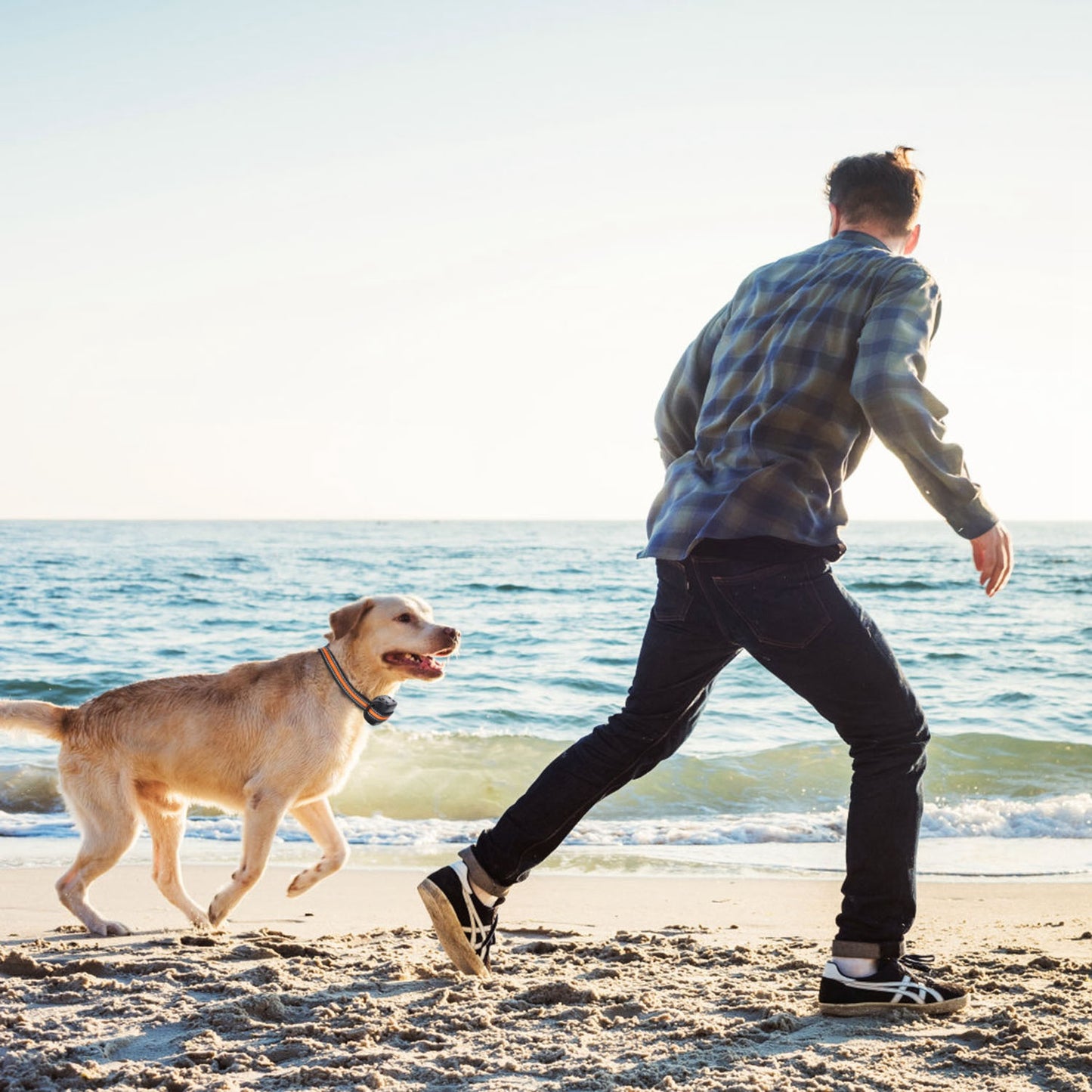 2-in-1 GPS Dog Fence & Tracker Collar
