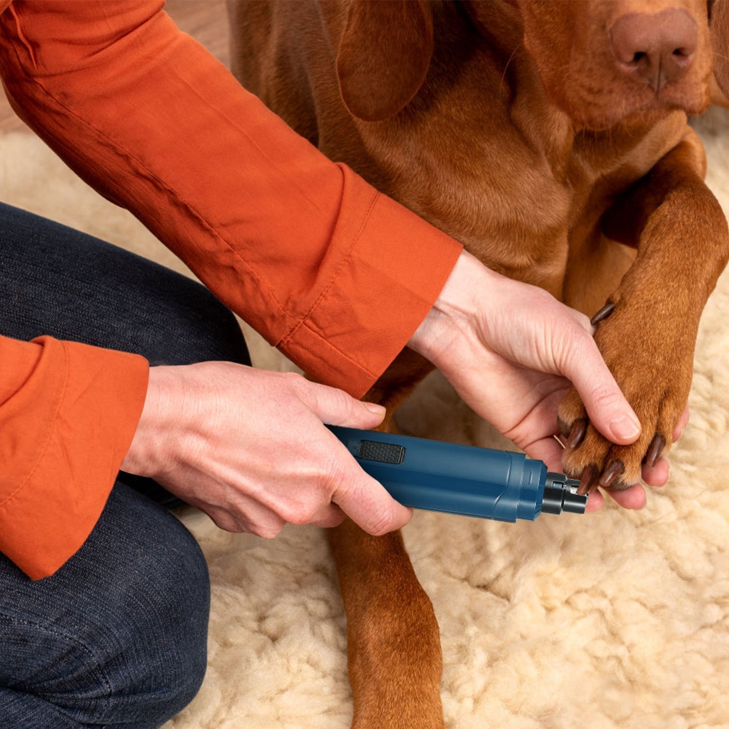 Two-speed electric pets nail trimmer