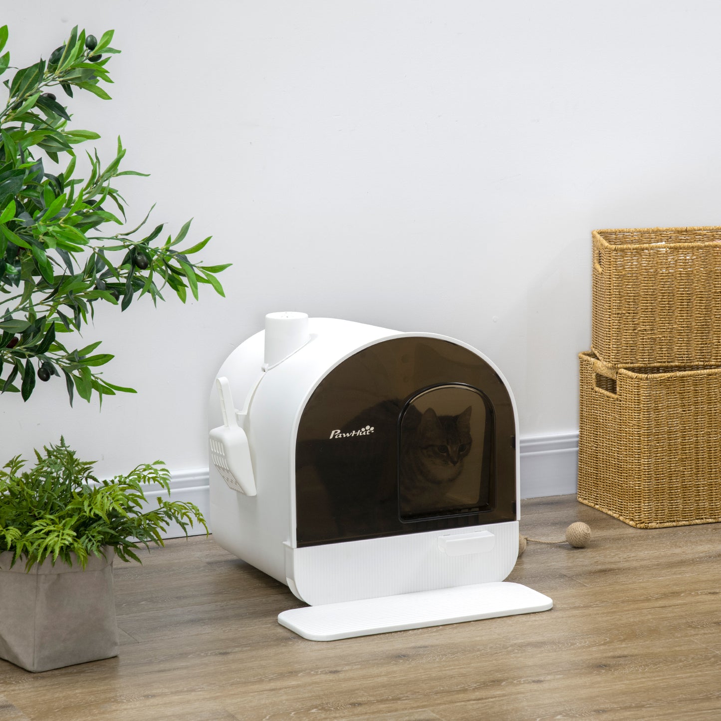 Cat Litter Box with Lid