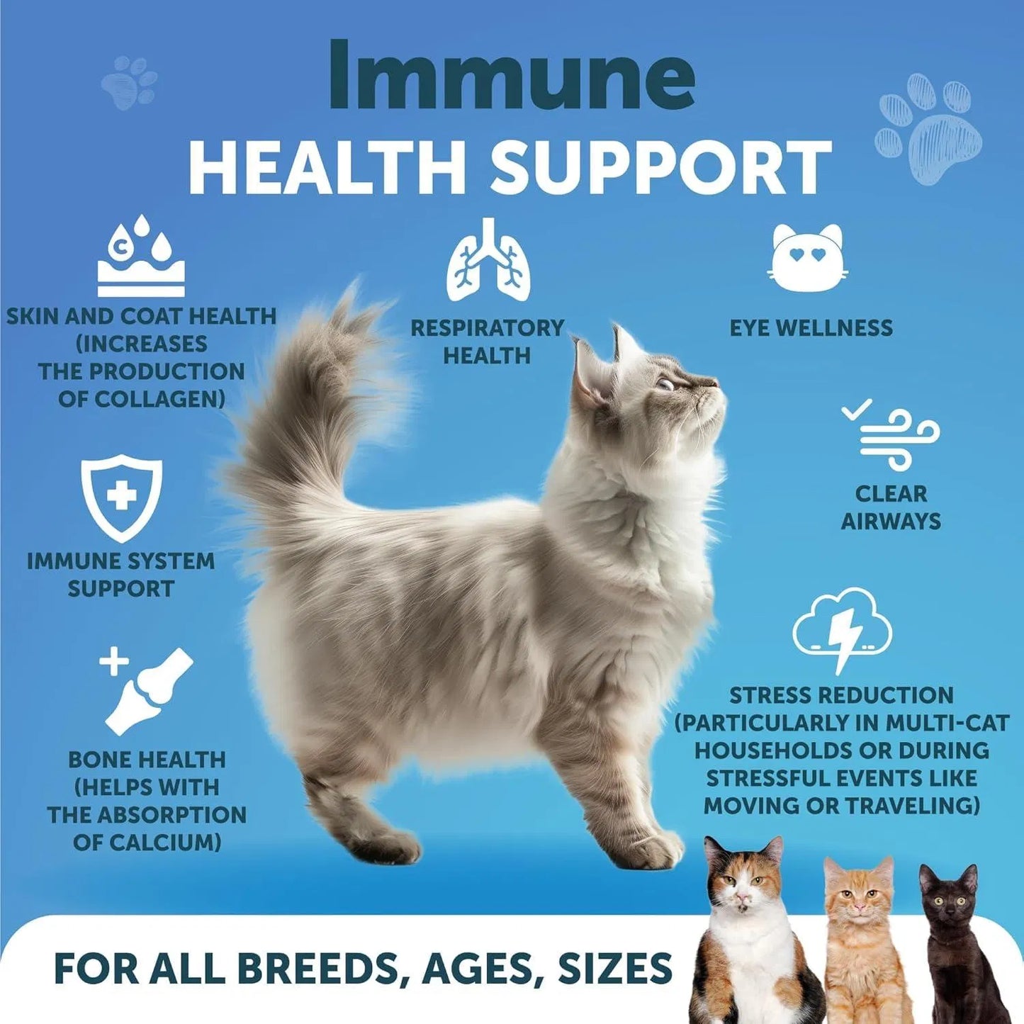 L-Lysine Powder for Cats – Immune & Respiratory Support