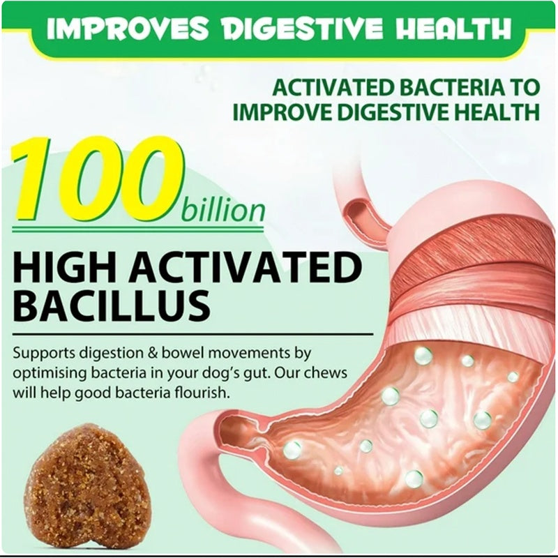 Probiotic Chews for Dogs – Digestive & Gut Health Support