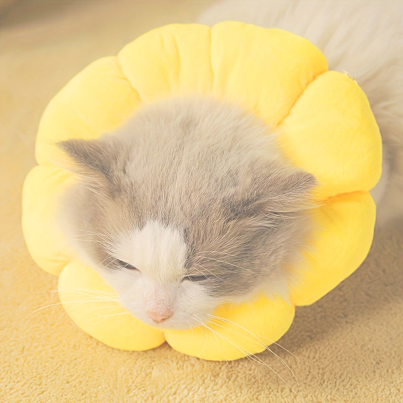 Sunflower Recovery Collar for Cats & Small Dogs
