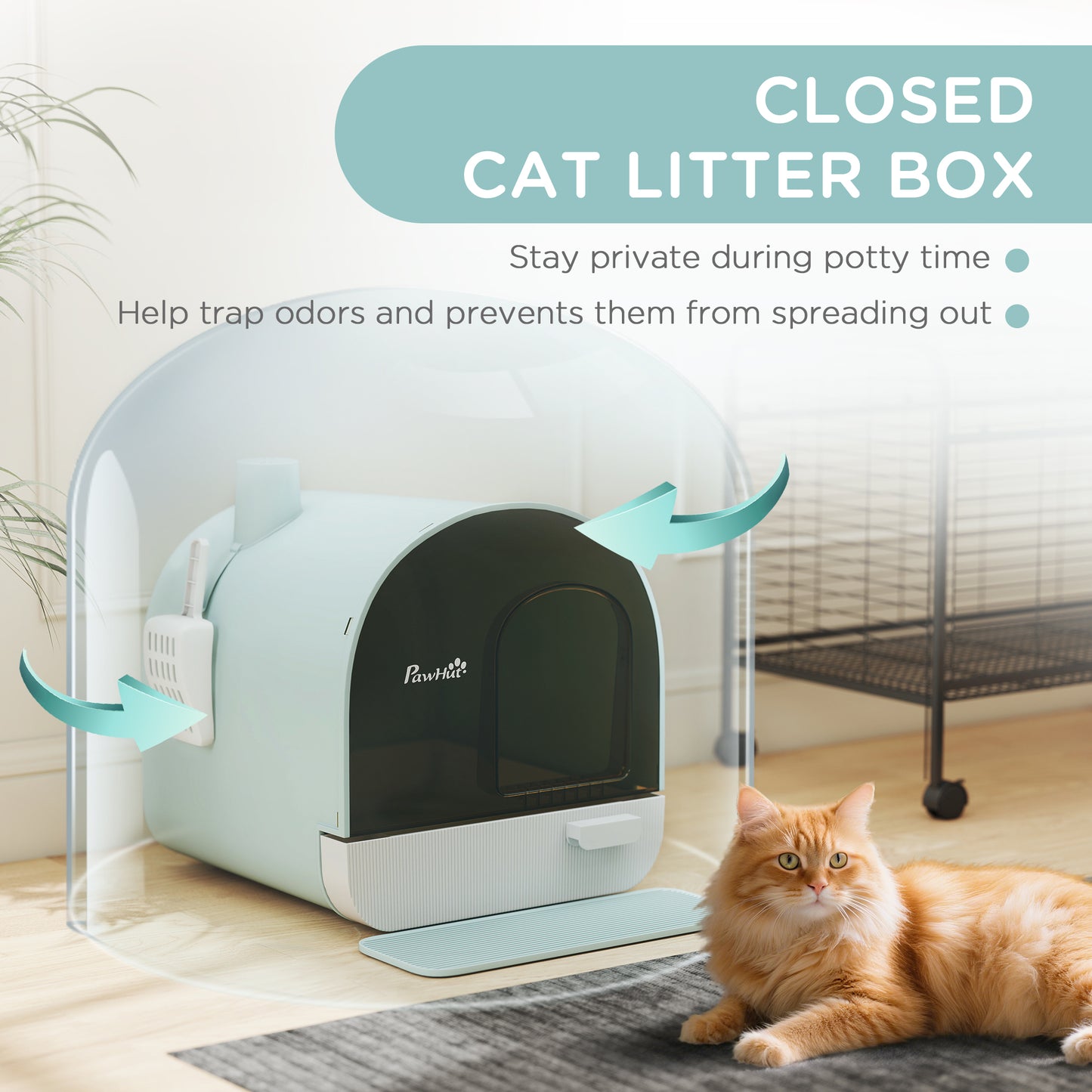 Cat Litter Box with Lid