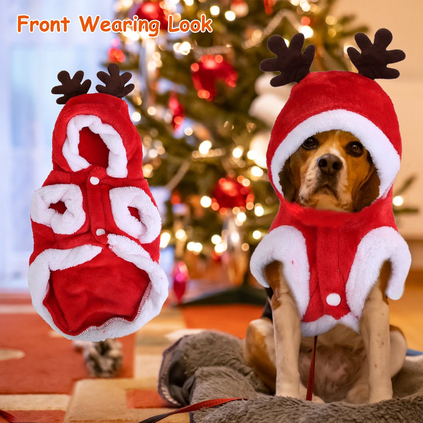 Pet Christmas Costume – Santa & Reindeer