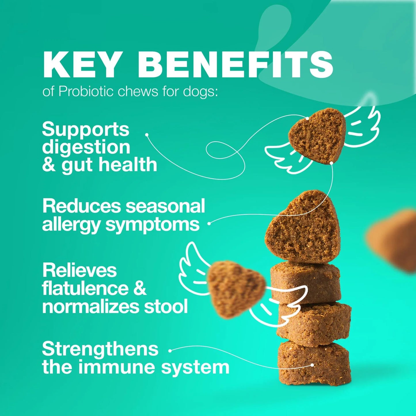 Probiotics for Dogs – Digestive & Immune Support Chews