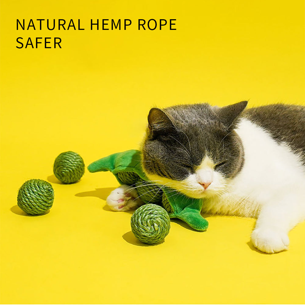 Interactive Sisal Scratching & Chew Toys