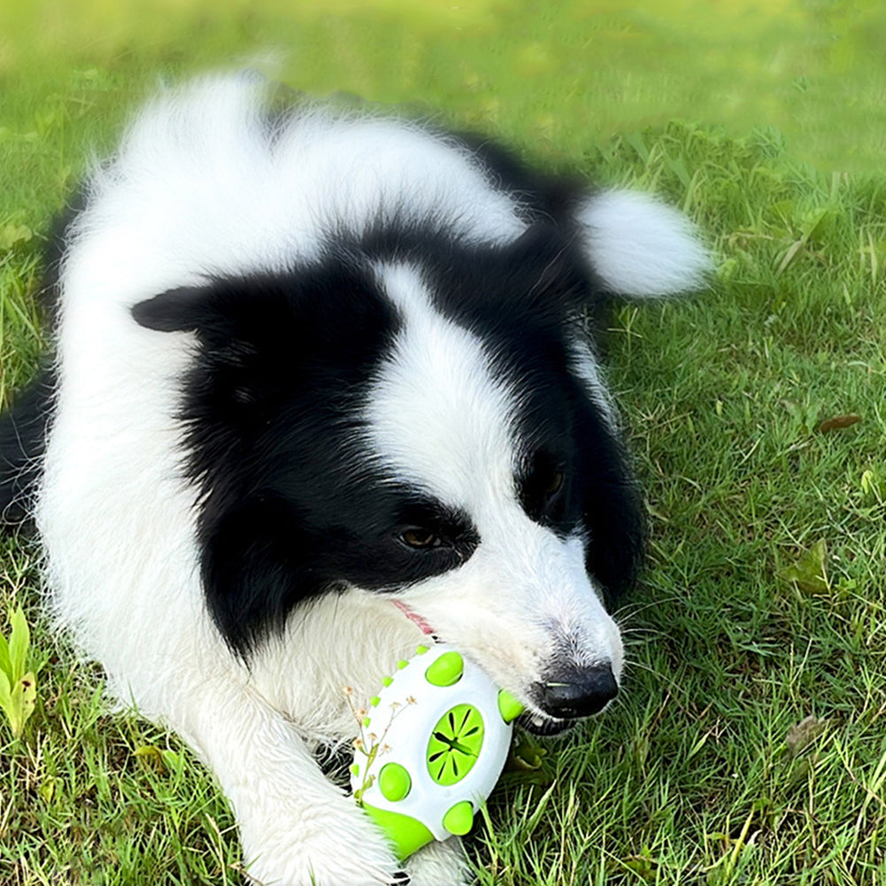 Hedgehog-Shaped Dog Toy