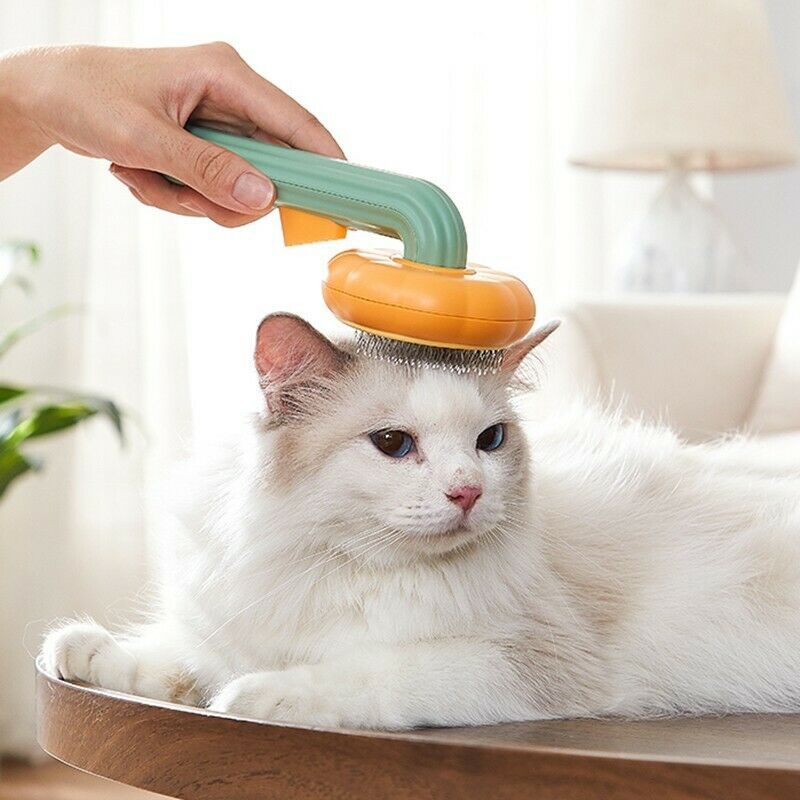 Self-Cleaning Pet Pumpkin Slicker Brush for Dogs & Cats