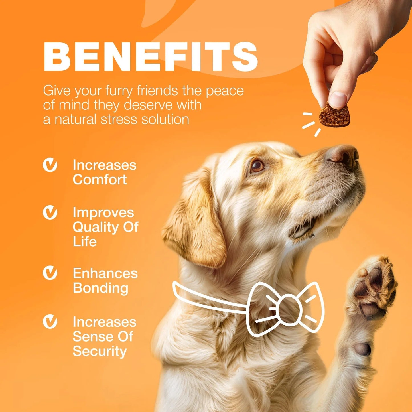 Dog Allergy Relief Chews – Itch & Skin Support