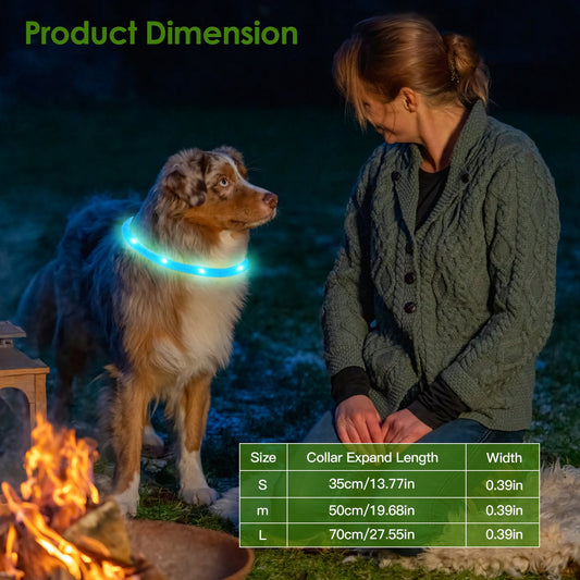 USB Rechargeable LED Dog Safety Collar