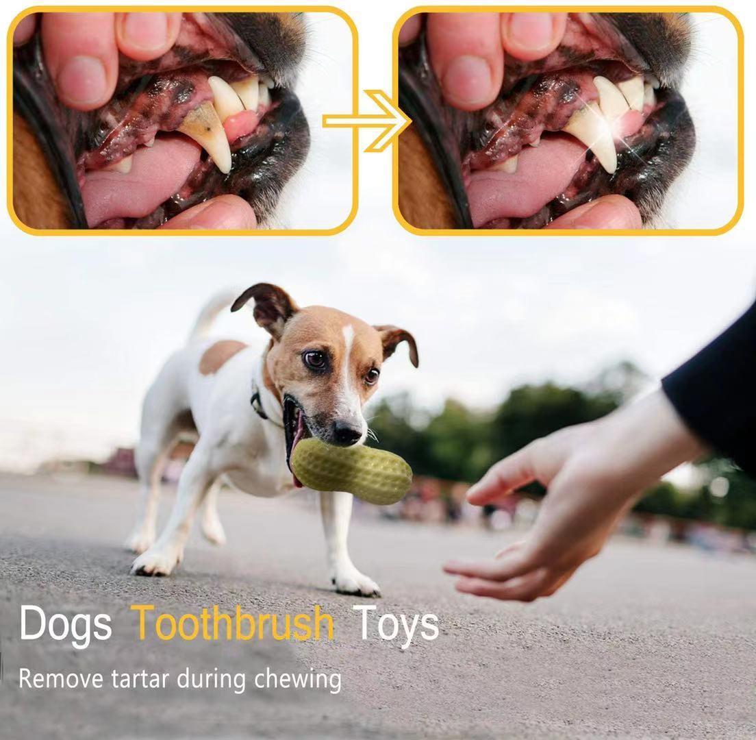 Rubber Peanut Squeaky Dog Toy