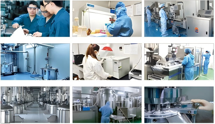 Probiotic Chews for Pets – Digestive Health Support