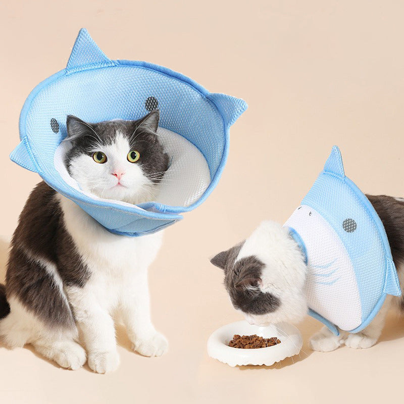 Comfortable Elizabethan Cone for Cats & Puppies