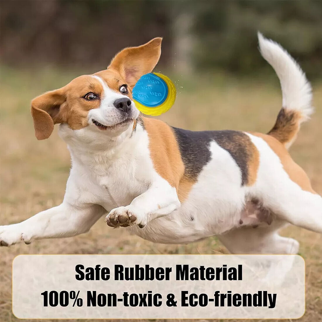 Interactive Dental Cleaning Toy Set