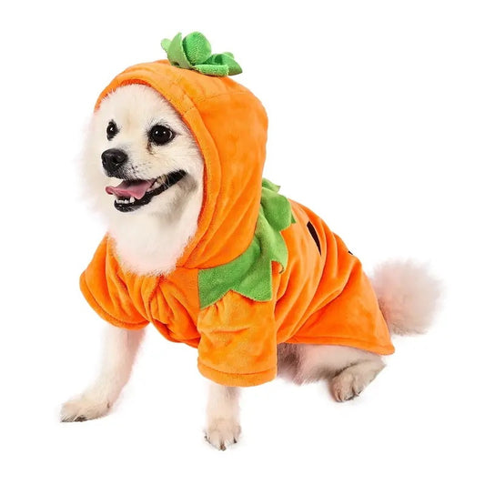 Pumpkin Dog Hoodie Costume