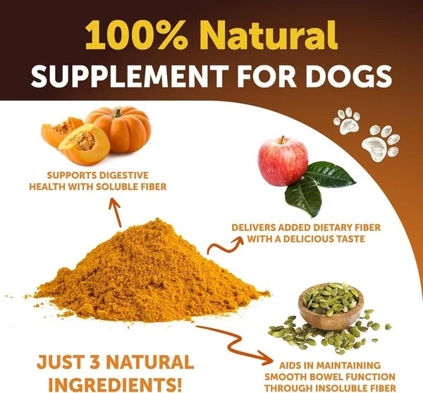 Pumpkin Powder for Dogs – Digestive & Fiber Support (16 oz)