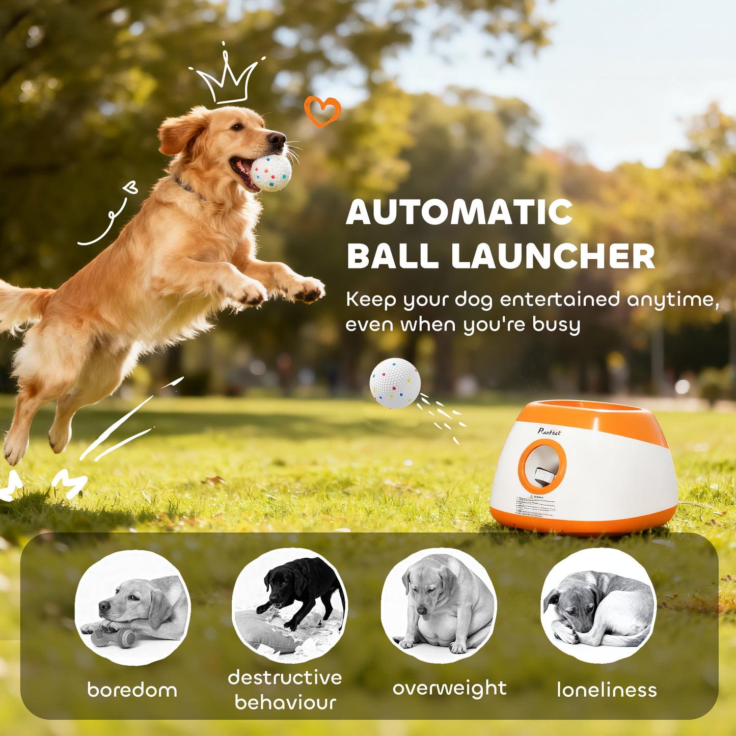 Automatic Dog Ball Launcher