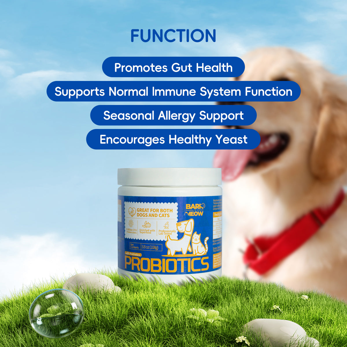 Probiotics Powder for Dogs & Cats – Gut & Immune Support (5B CFU)