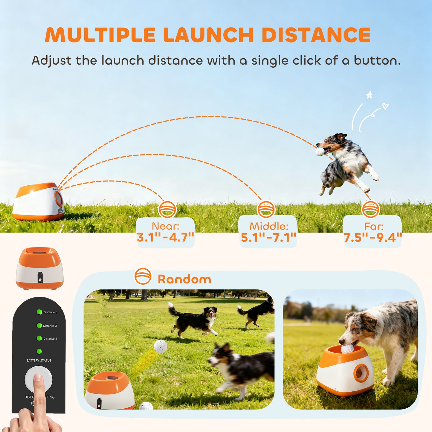 Automatic Dog Ball Launcher