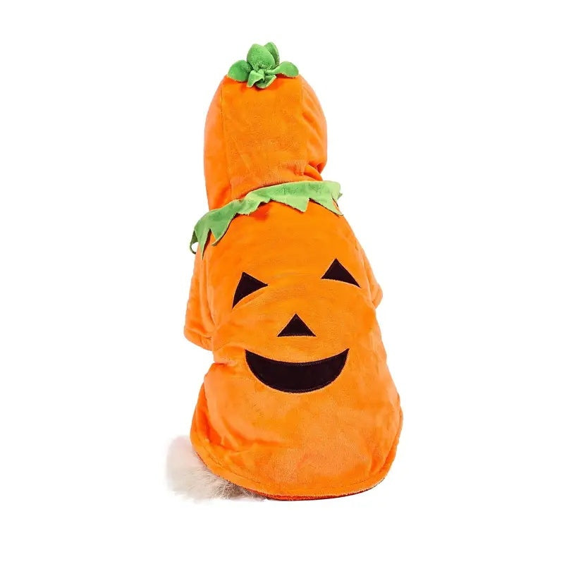 Pumpkin Dog Hoodie Costume