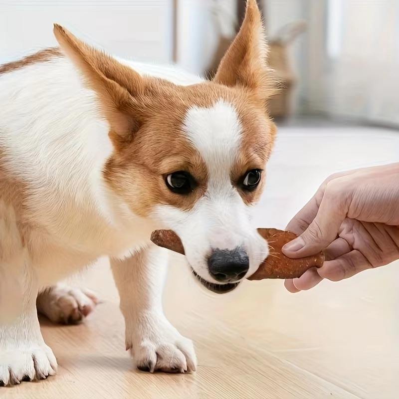 Chicken Wrapped Rawhide Dog Chews – Natural Meat Snack