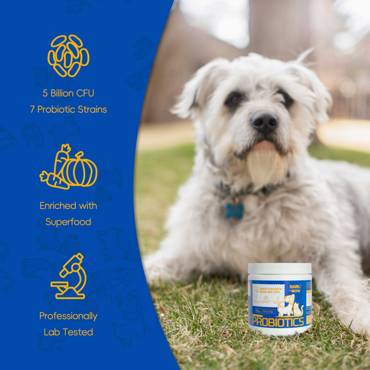Probiotics Powder for Dogs & Cats – Gut & Immune Support