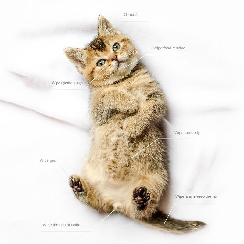 Coconut Oil Grooming Gloves, Hypoallergenic