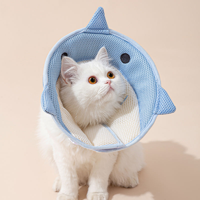 Comfortable Elizabethan Cone for Cats & Puppies