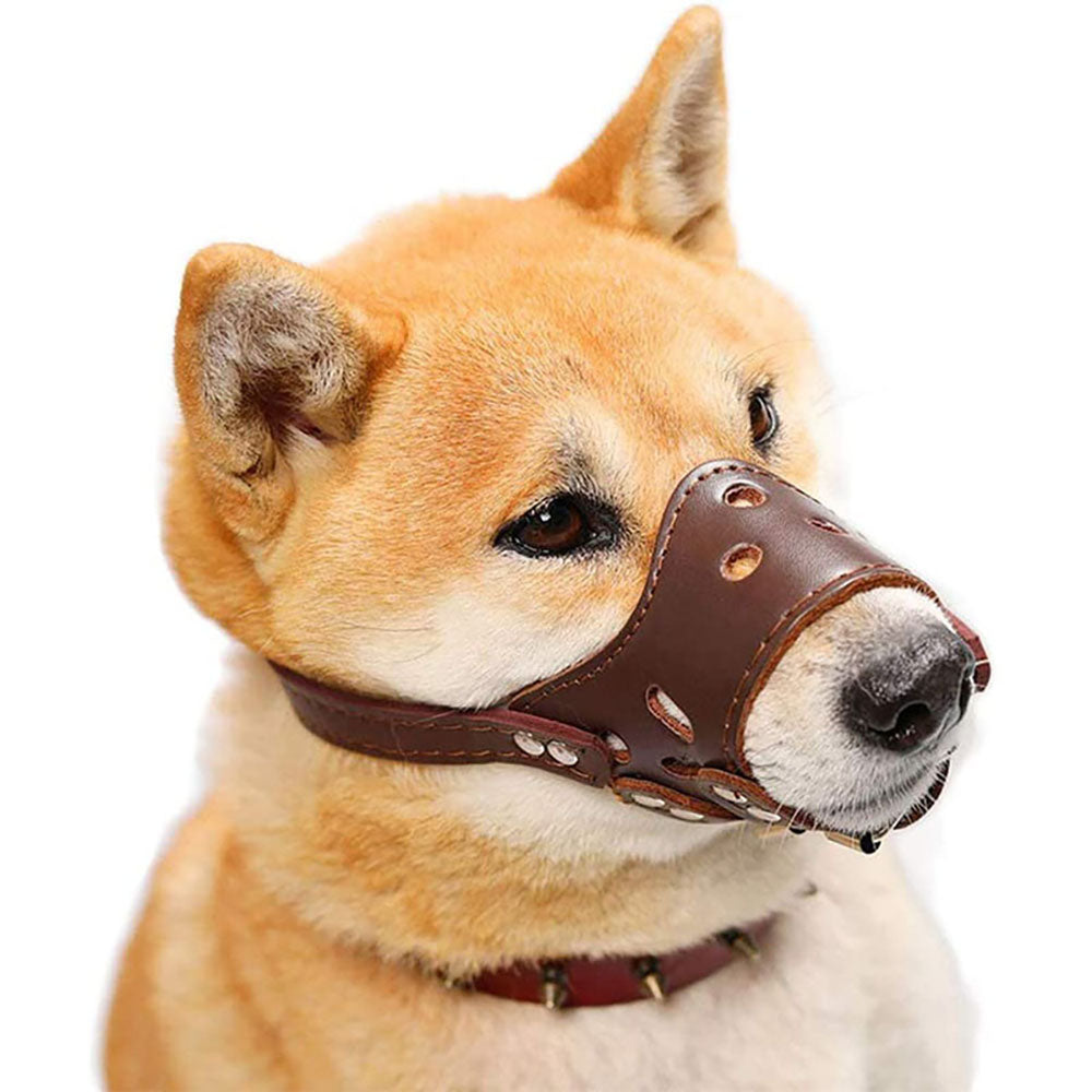 Leather Dog Muzzle – Adjustable & Breathable