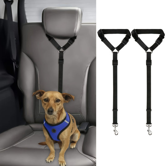 Durable Two-Piece Dog Leash Set