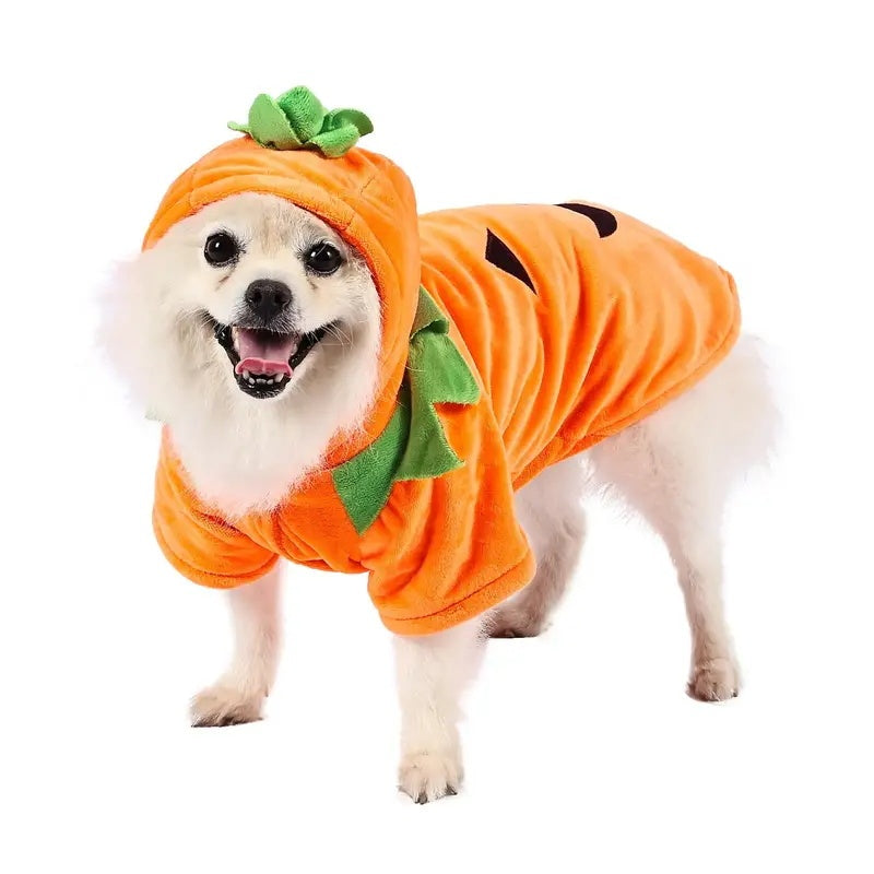 Pumpkin Dog Hoodie Costume