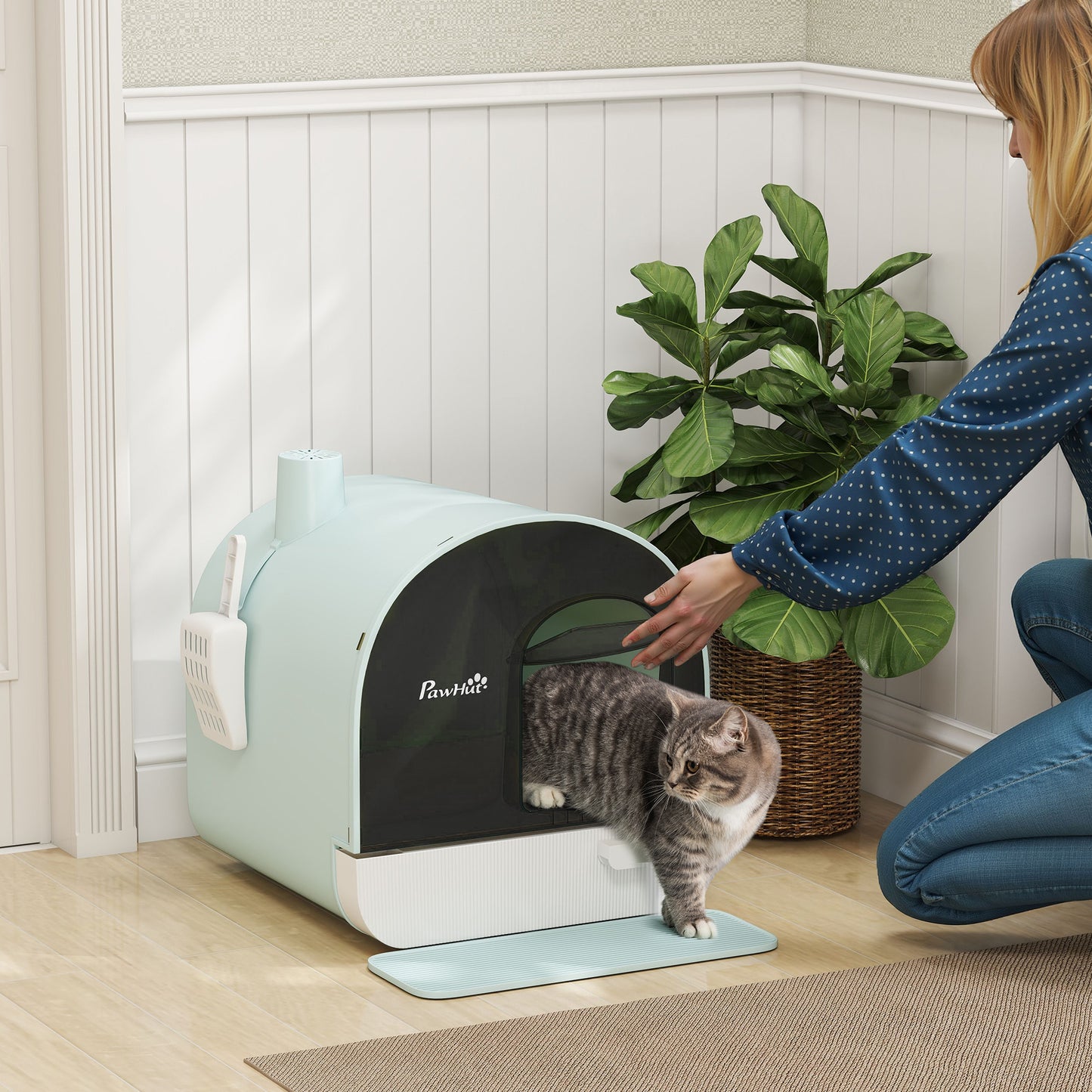 Cat Litter Box with Lid