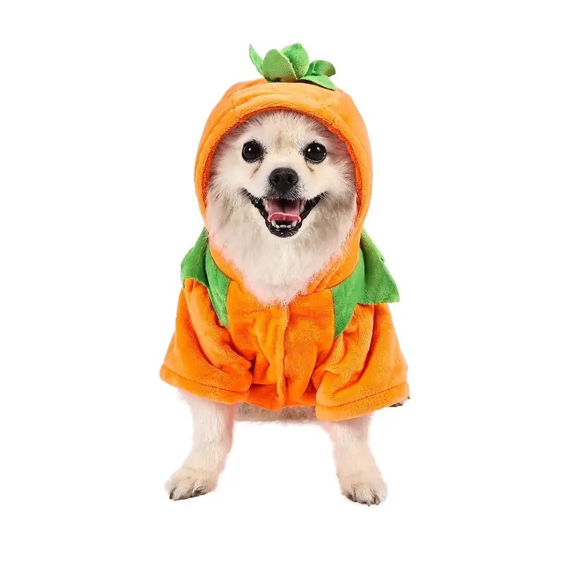 Pumpkin Dog Hoodie Costume