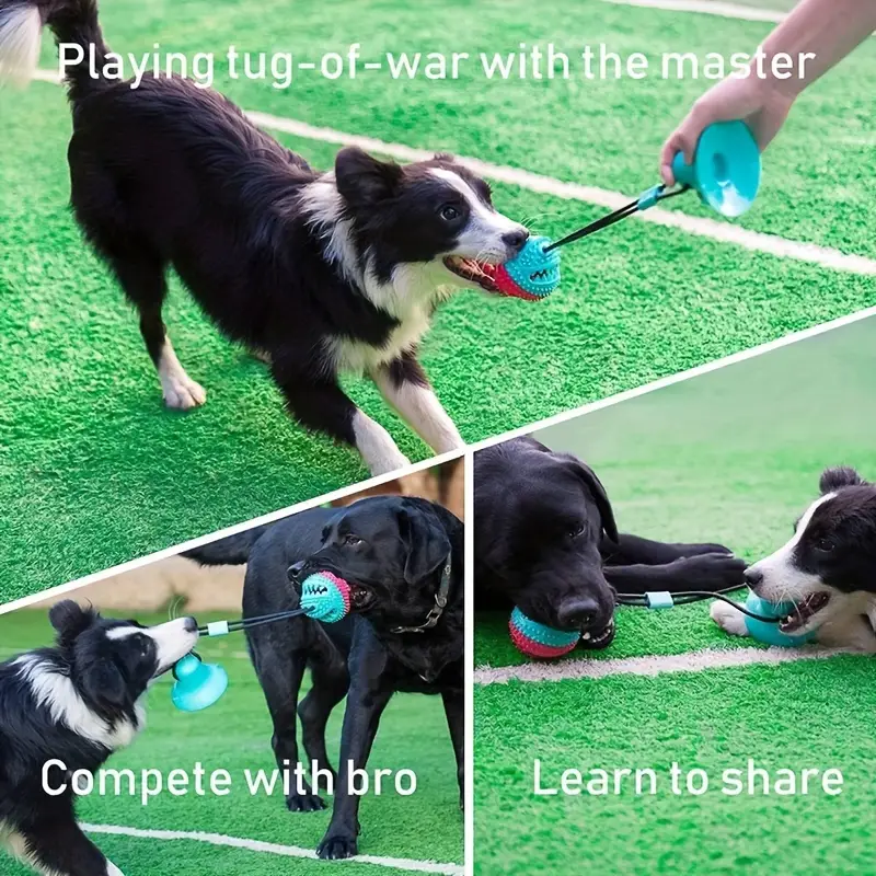 Suction Cup Tug-of-War Dog Toy