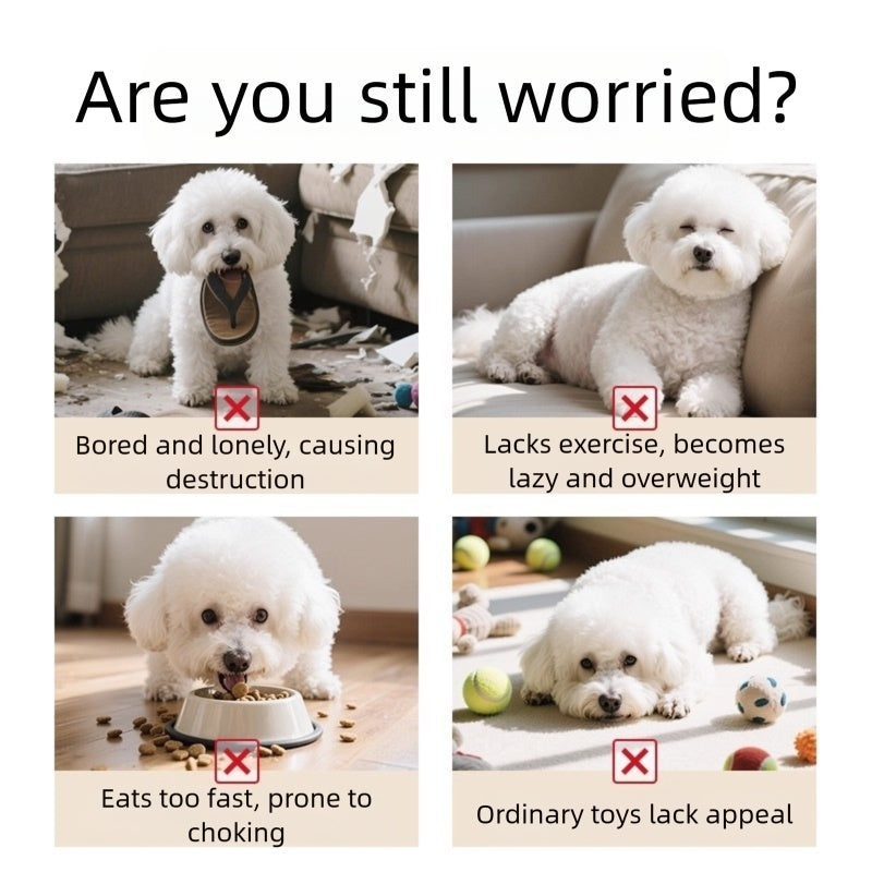 Sniffing Mat Food Hiding Toy