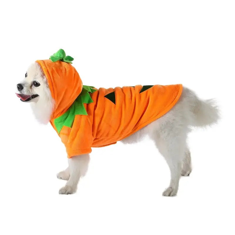 Pumpkin Dog Hoodie Costume