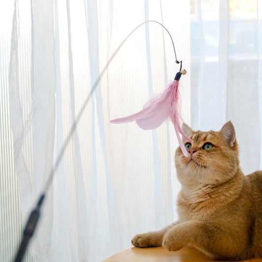 Retractable Laser Cat Toy Wand