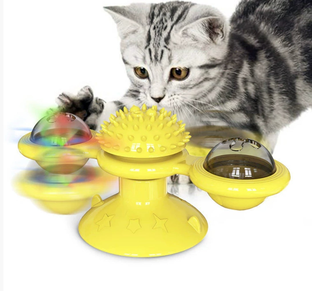 Interactive Cat Entertainment Toy Set