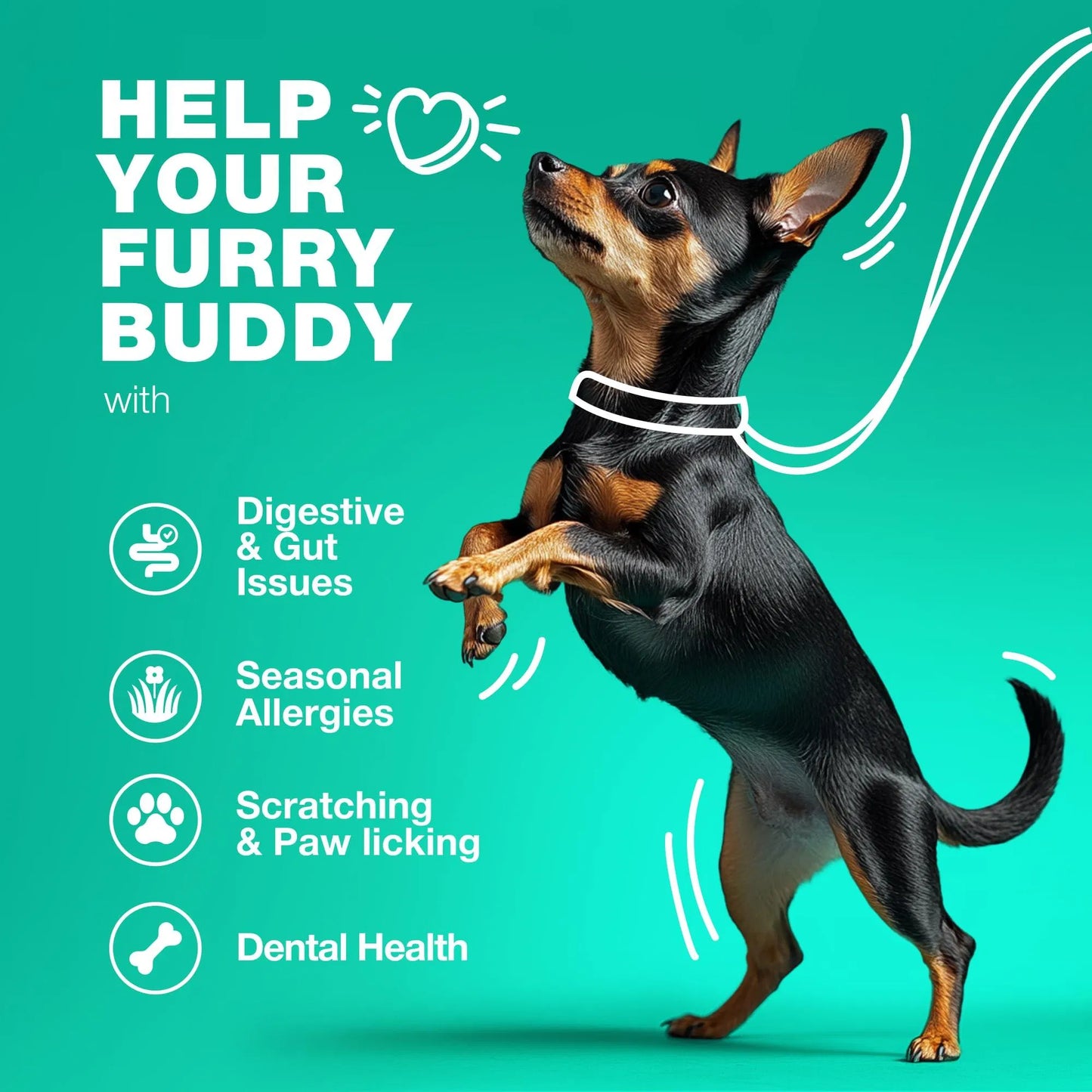 Probiotics for Dogs – Digestive & Immune Support Chews