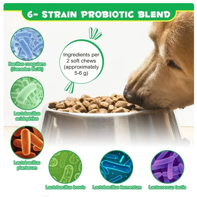 Probiotic Chews for Dogs – Digestive & Gut Health Support