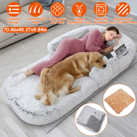 Human-Sized Foldable Dog Bed