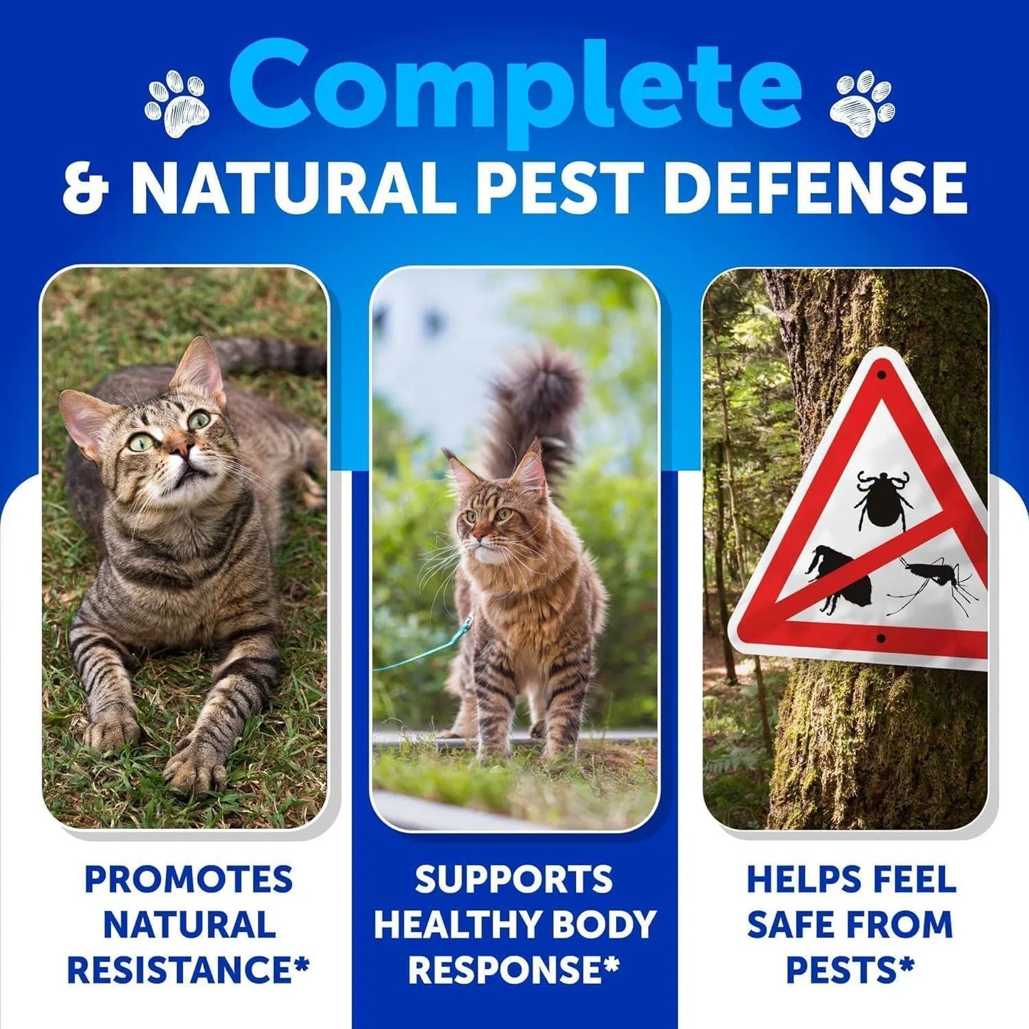 Natural Flea & Tick Chews for Cats – Skin & Coat Support