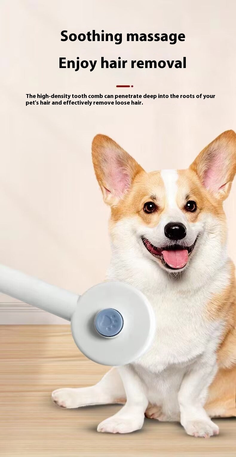 USB Rechargeable Pet Comb with UV Sterilization