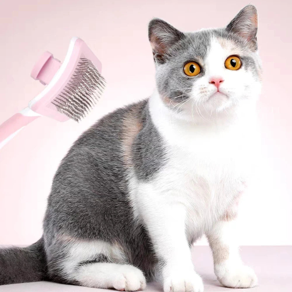 Self-Cleaning Slicker Brush for Dogs & Cats