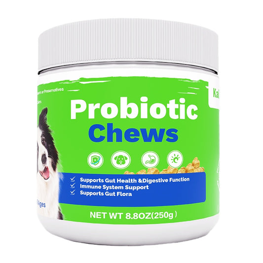 Probiotic Chews for Dogs – Digestive & Gut Health Support